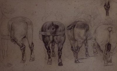 Cavalli imbrigliati da Theodore Gericault