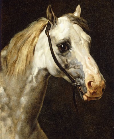 Testa di un cavallo pezzato da Theodore Gericault