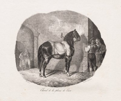 Cavallo della Piana di Caen da Theodore Gericault
