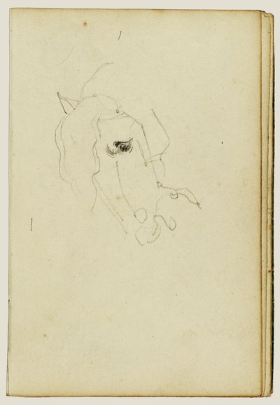 Testa di cavallo da Theodore Gericault