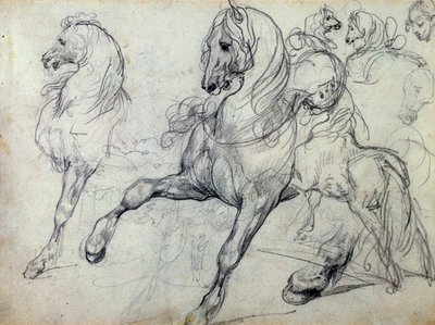 Cavalli da Theodore Gericault