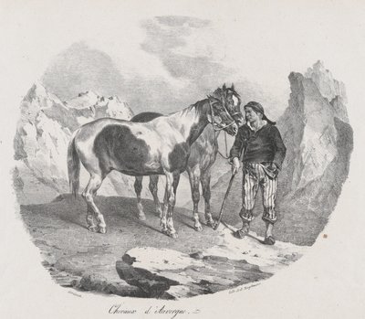 Cavalli dell