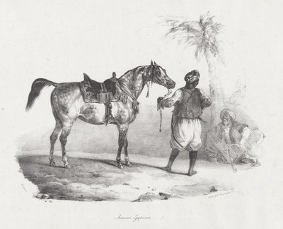 Giumenta egiziana (An Egyptian Mare) da Theodore Gericault