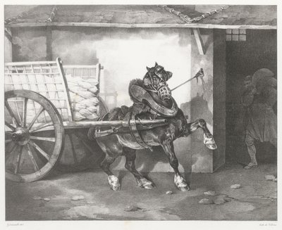 Il cavallo dell
