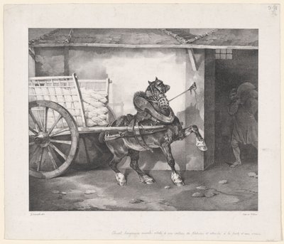 Il cavallo dell