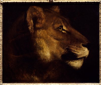 Testa di leonessa da Theodore Gericault