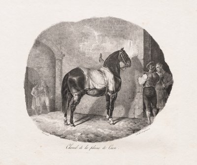 Studi litografici di cavalli: Pl. 7, Cavallo della pianura di Caen da Theodore Gericault