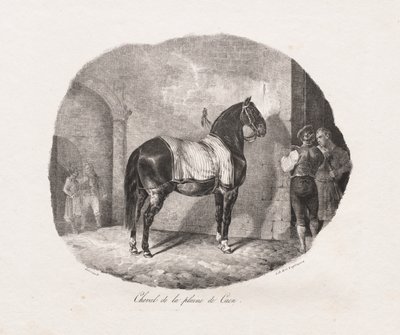 Studi litografici di cavalli: Pl. 7, Cavallo della pianura di Caen, 1822 da Theodore Gericault