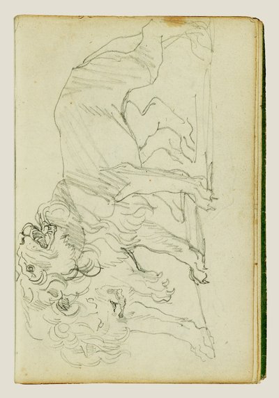 Coppia di leoni da Theodore Gericault