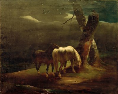 Cavalli al pascolo da Theodore Gericault