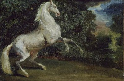 Cavallo impennato da Theodore Gericault