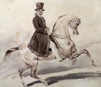 Cavaliere in un cappotto bordato di pelliccia da Theodore Gericault