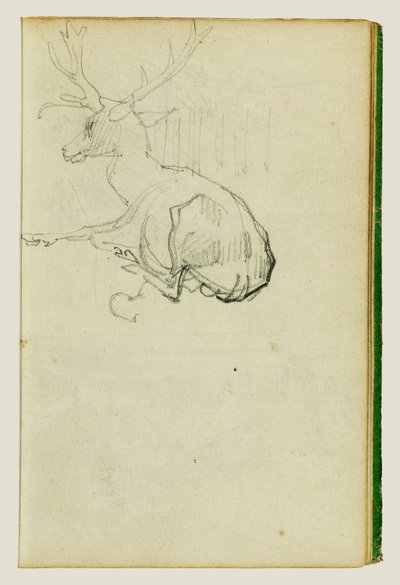 Cervo seduto da Theodore Gericault
