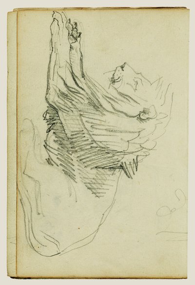 Leone seduto da Theodore Gericault