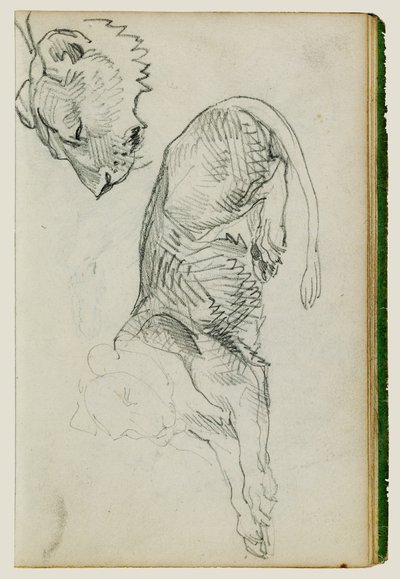 Leone seduto, testa di leonessa da Theodore Gericault