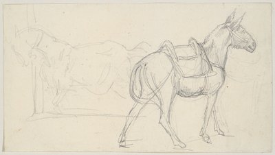  da Theodore Gericault