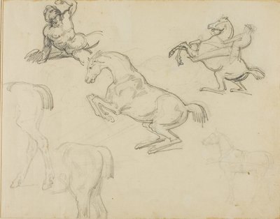 Schizzi: Nudo reclinato, un cavaliere e vari cavalli da Theodore Gericault