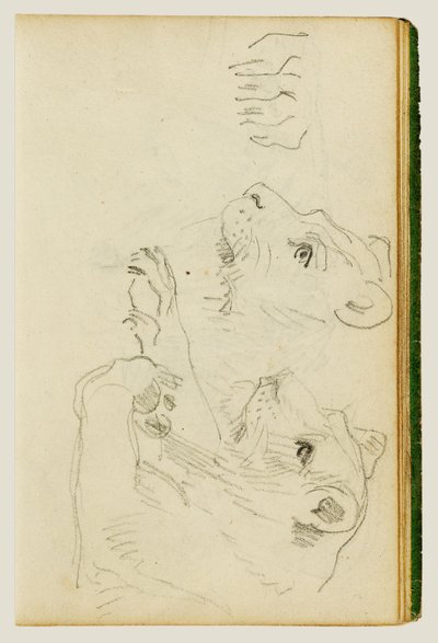  da Theodore Gericault