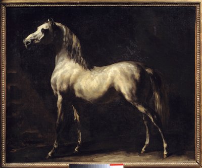 Studio di un cavallo da Theodore Gericault