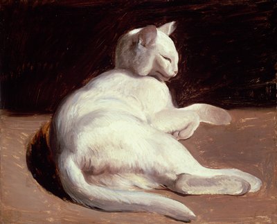 Il gatto bianco, c.1817-18 da Theodore Gericault