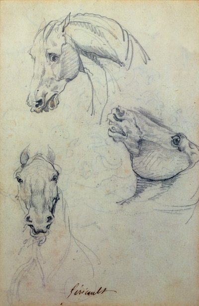 Tre teste di cavallo da Theodore Gericault