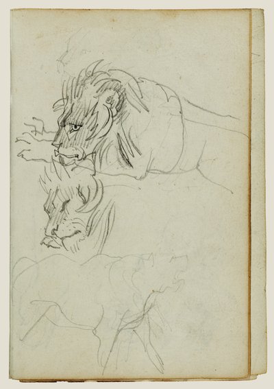 Tre studi sui leoni da Theodore Gericault