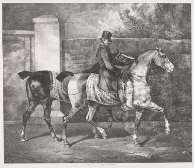 Due cavalli esercitati da un fantino da Theodore Gericault