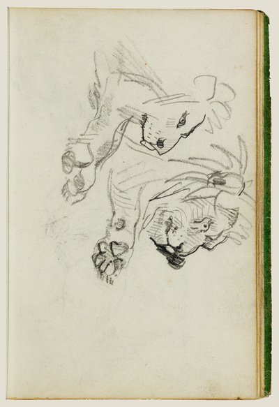 Due studi sui leoni da Theodore Gericault