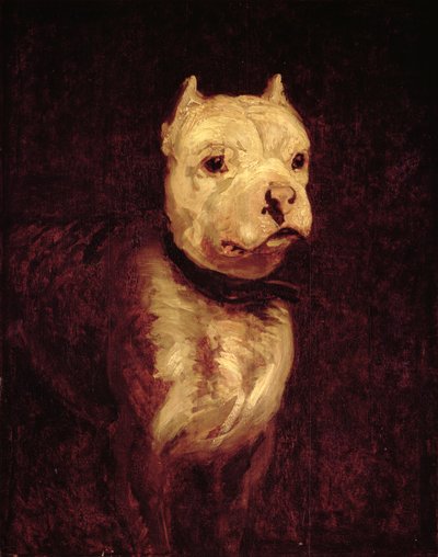 Immagine sconosciuta da Theodore Gericault