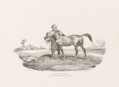 Vari soggetti disegnati dal vero e su pietra: un cavallo arabo da Theodore Gericault