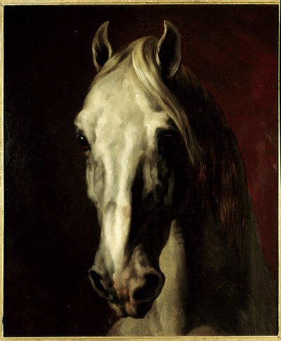 Testa di cavallo bianco da Theodore Gericault