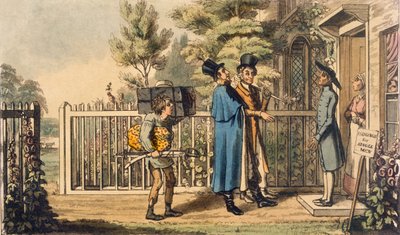 Illustrazione da 