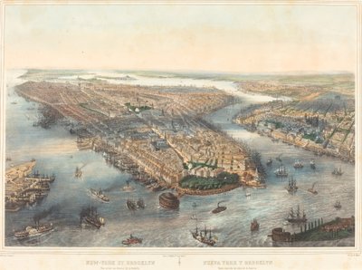 New York e Brooklyn - Vista presa sopra la batteria da Theodore Muller after William Simpson
