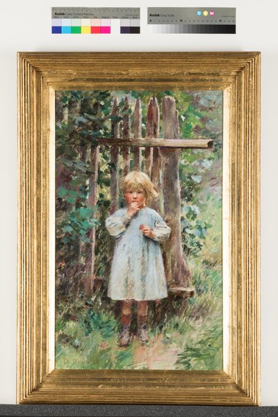 Un predone da Theodore Robinson