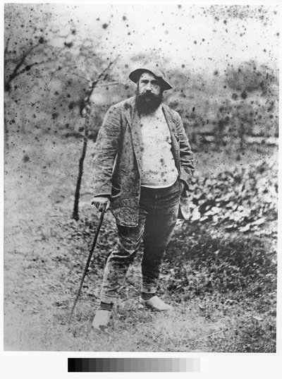 Claude Monet nel suo giardino, 1880 (stampa d