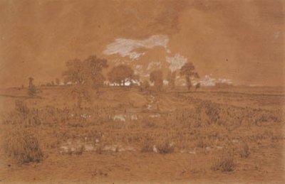 Paesaggio serale con una palude da Theodore Rousseau
