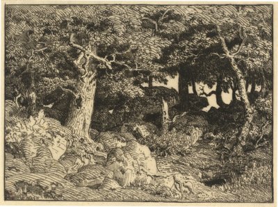 Querce di Roccia da Theodore Rousseau