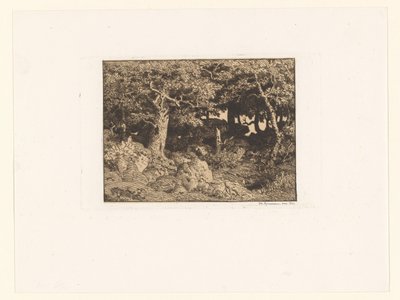 Querce su rocce da Theodore Rousseau