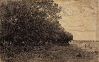 Un piccolo gruppo di alberi alti vicino alla foresta di Macherin da Theodore Rousseau