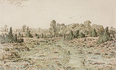 Sentiero nella Barbizonnières, 1864 da Pierre Etienne Theodore Rousseau