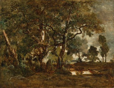 Foresta di Fontainebleau, gruppo di alberi ad alto fusto che si affacciano sulla pianura di Clair-Bois ai margini del Bas-Bréau da Theodore Rousseau