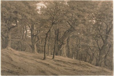 Nella foresta di Fontainbleau da Theodore Rousseau