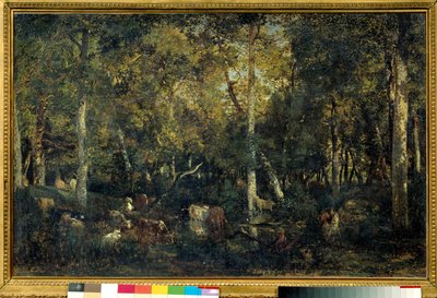 Interno del bosco detto il Vecchio Dormitorio del Bas-Breau da Pierre Etienne Theodore Rousseau