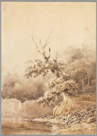 Paesaggio da Theodore Rousseau