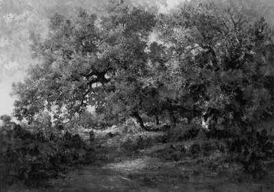 Paesaggio da Theodore Rousseau