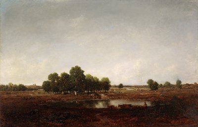 Paesaggio con palude da Pierre Etienne Theodore Rousseau