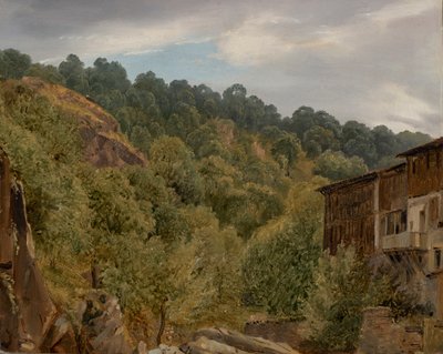Paesaggio in Alvernia da Theodore Rousseau
