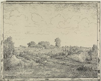 Pianura a Plante à Biau da Theodore Rousseau