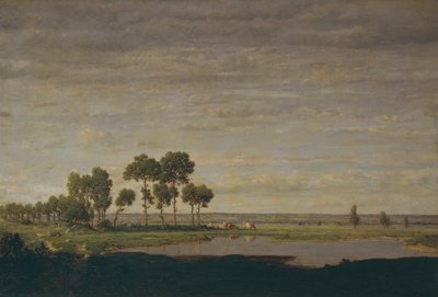 Primavera, stagno da Theodore Rousseau