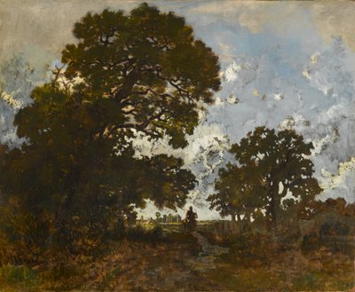 Il faggio nella foresta di L